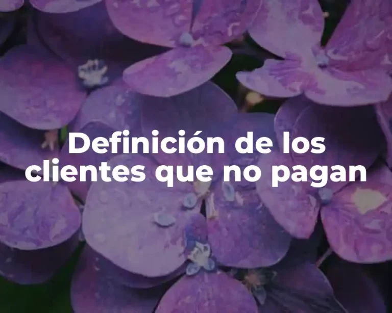 Definición de los clientes que no pagan