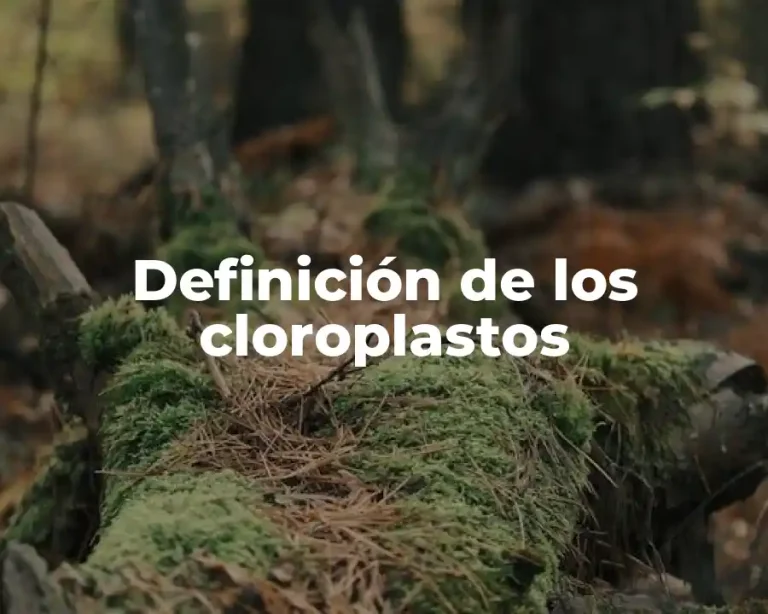 Definición de los cloroplastos