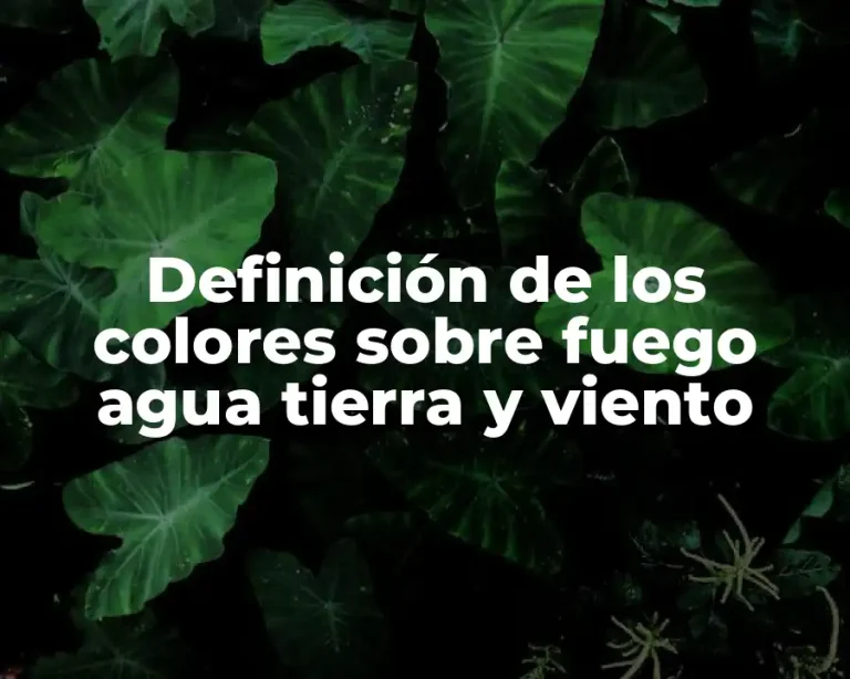 Definición de los colores sobre fuego agua tierra y viento