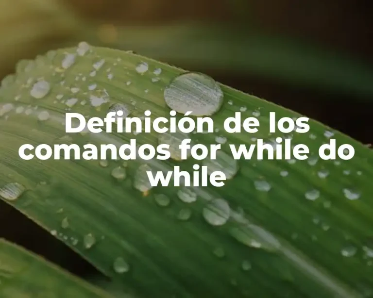 Definición de los comandos for while do while