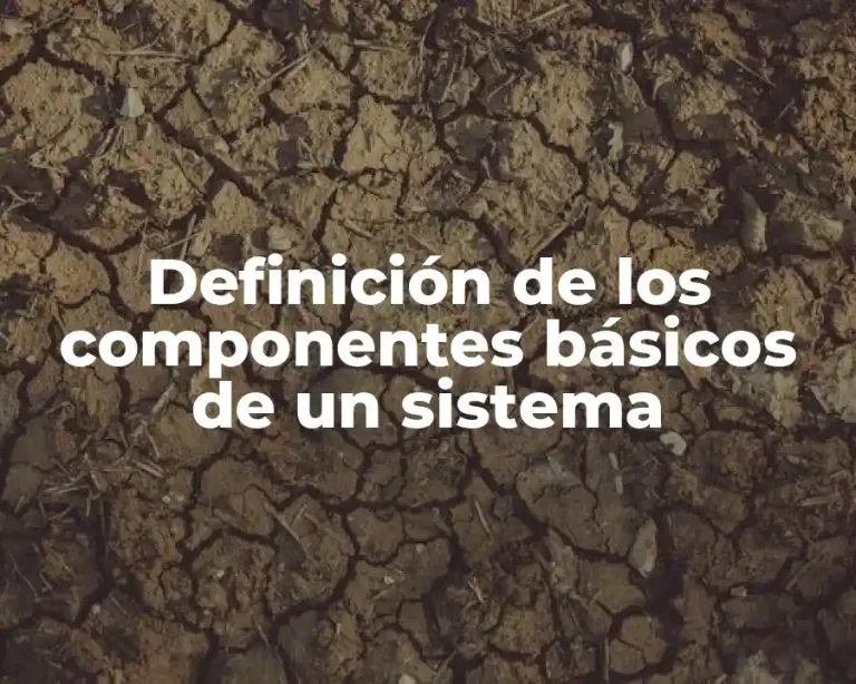Definición de los componentes básicos de un sistema