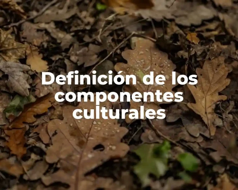 Definición de los componentes culturales