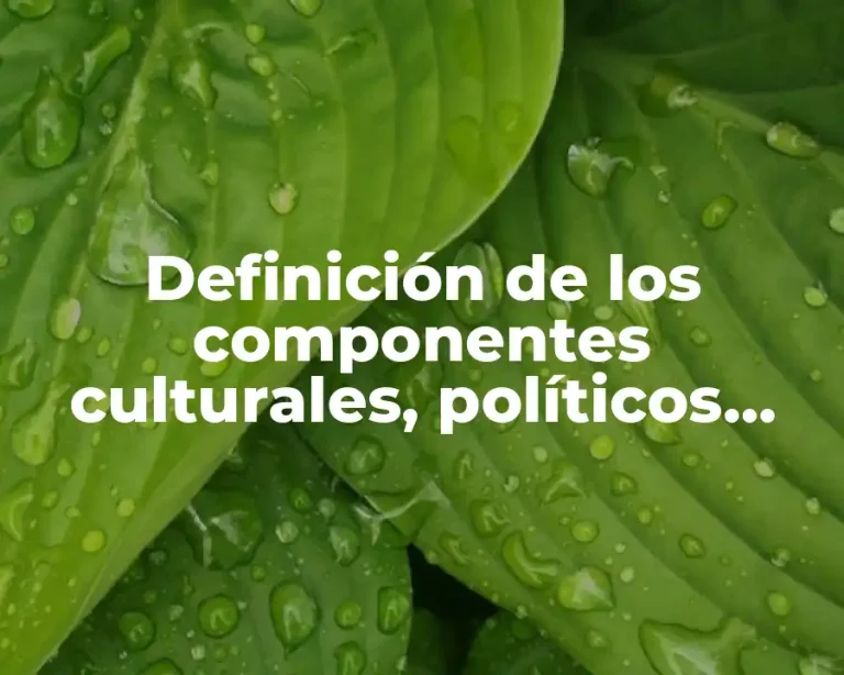 Definición de los componentes culturales, políticos, sociales, económicos y políticos