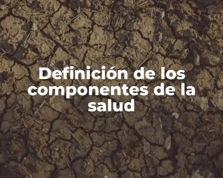 Definición de los componentes de la salud