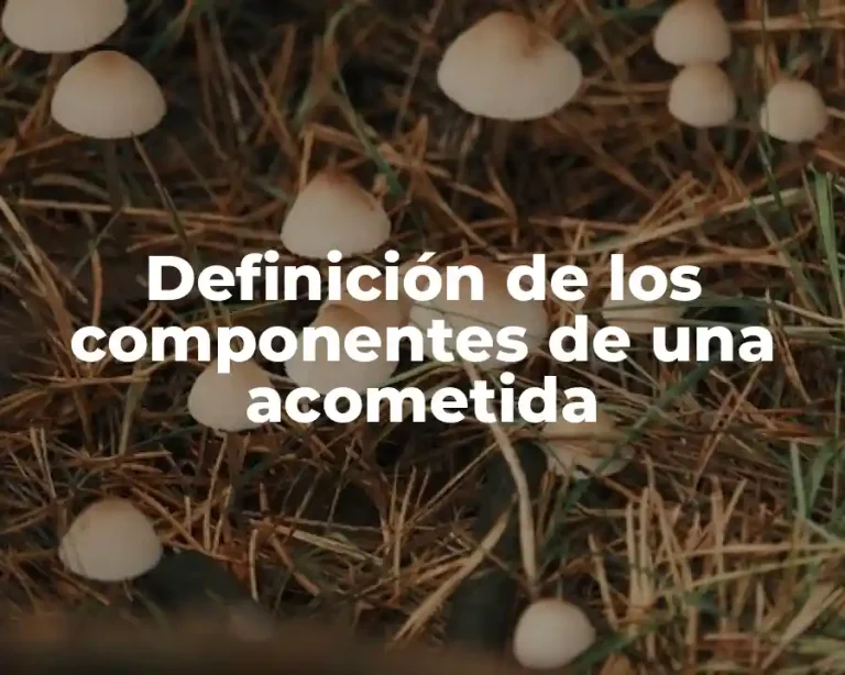 Definición de los componentes de una acometida