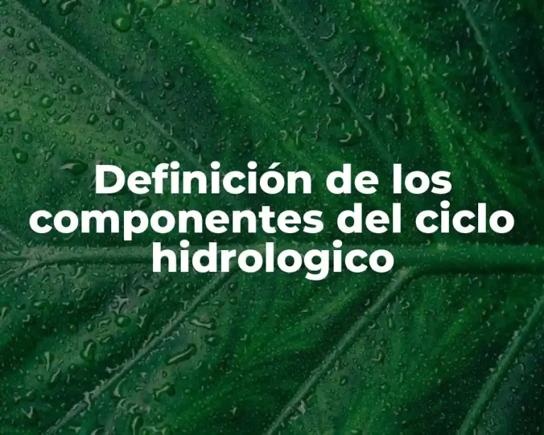 Definición de los componentes del ciclo hidrologico