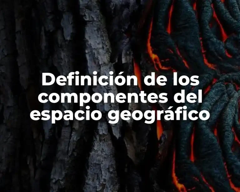 Definición de los componentes del espacio geográfico