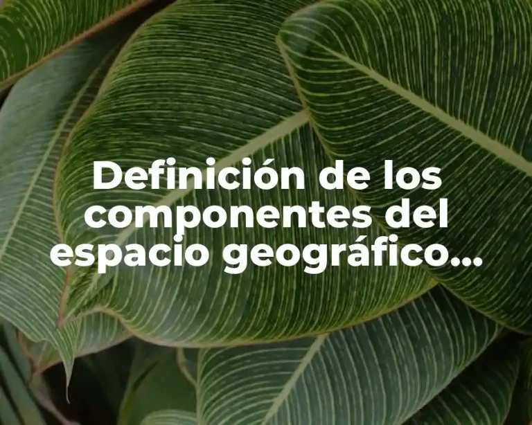 Definición de los componentes del espacio geográfico económico