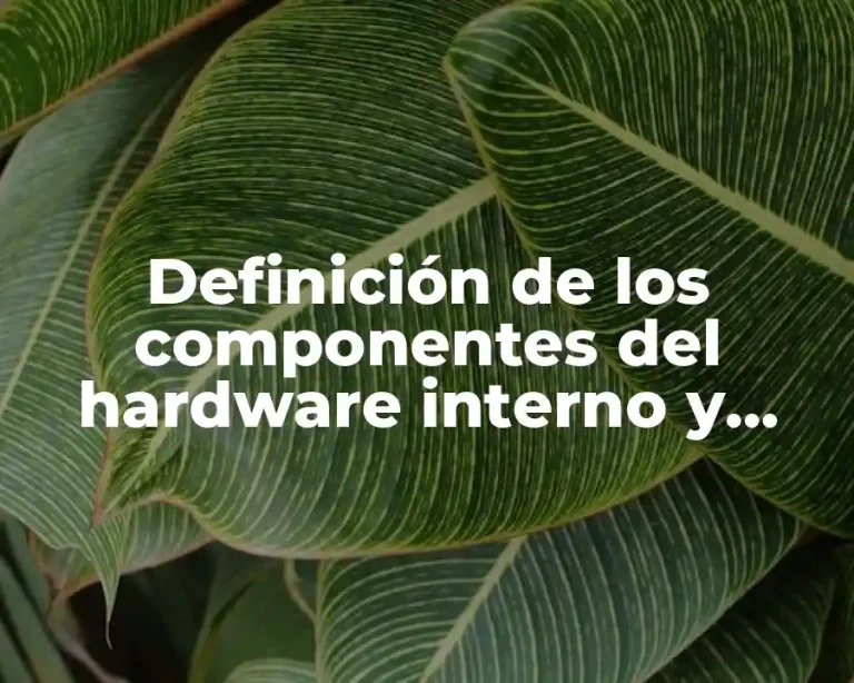 Definición de los componentes del hardware interno y externo