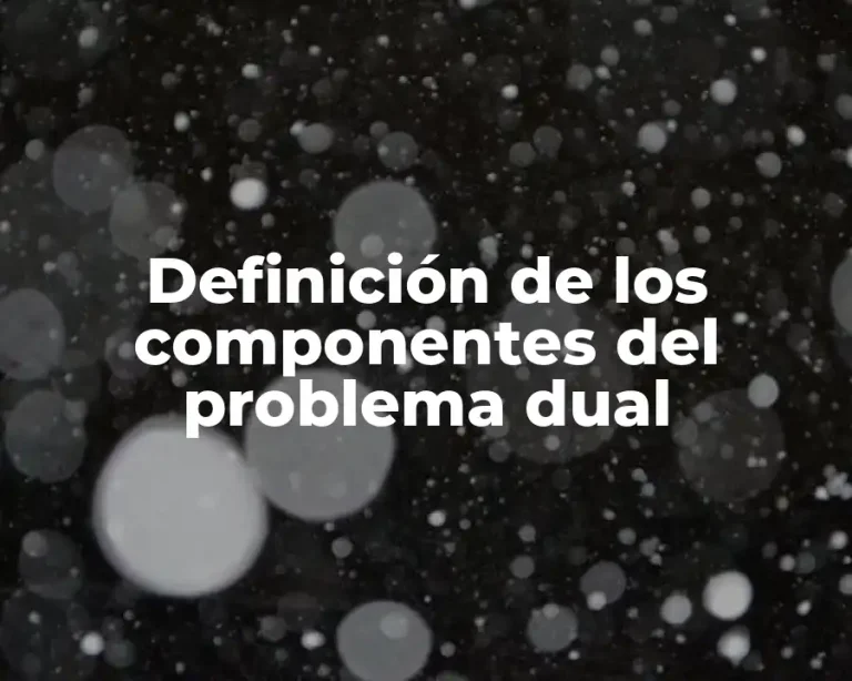 Definición de los componentes del problema dual