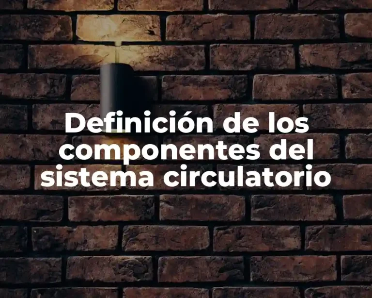 Definición de los componentes del sistema circulatorio