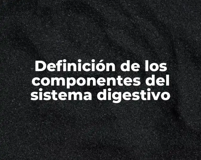 Definición de los componentes del sistema digestivo