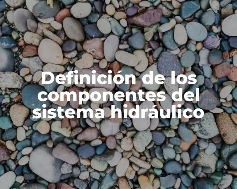 Definición de los componentes del sistema hidráulico