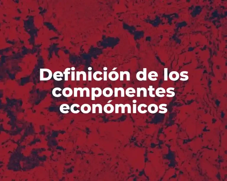 Definición de los componentes económicos