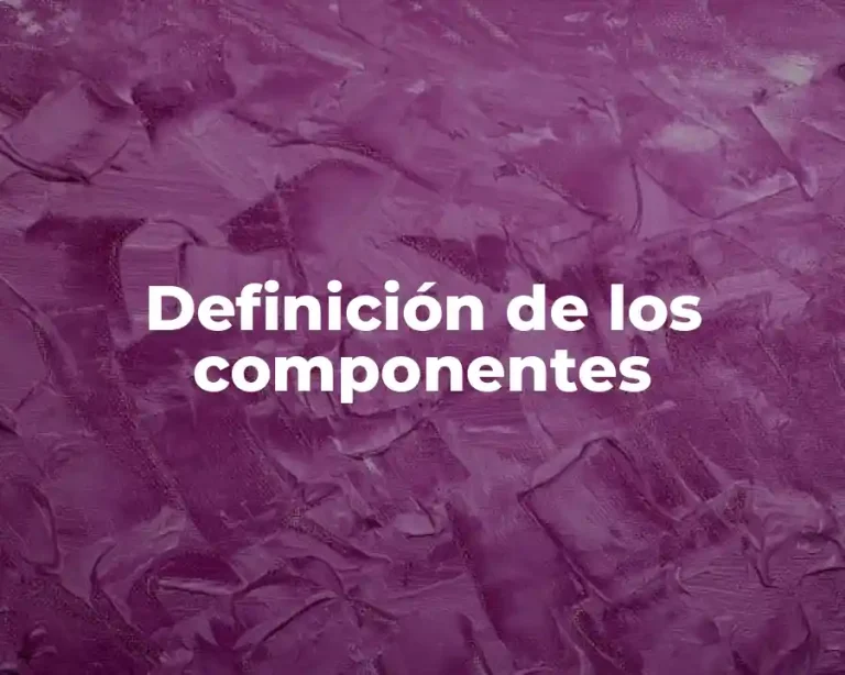 Definición de los componentes