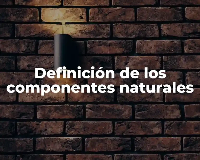 Definición de los componentes naturales