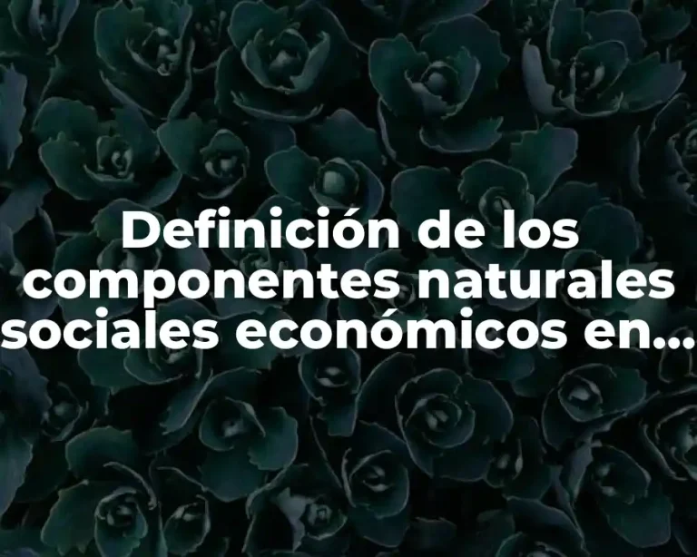Definición de los componentes naturales sociales económicos en espacio turístico
