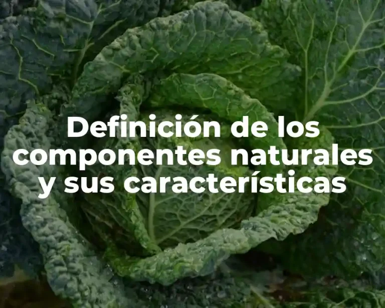 Definición de los componentes naturales y sus características