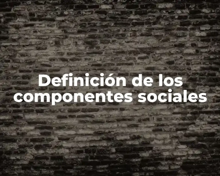 Definición de los componentes sociales