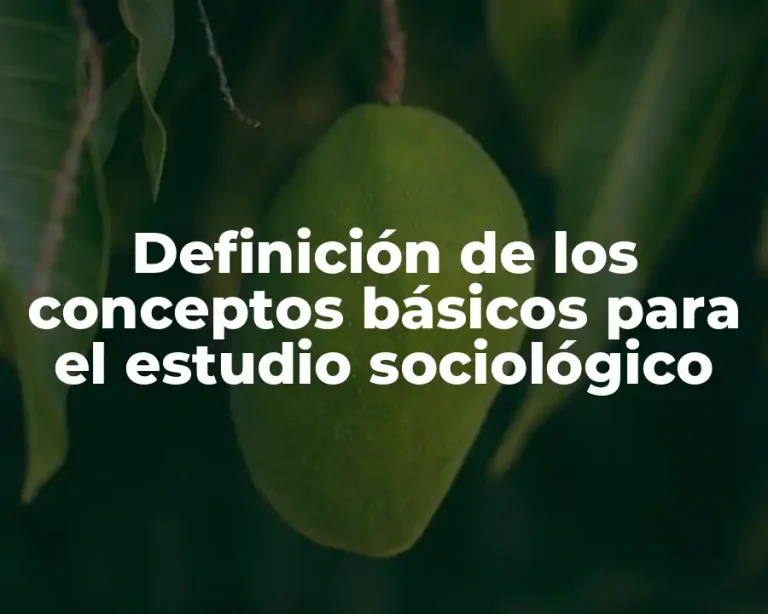 Definición de los conceptos básicos para el estudio sociológico