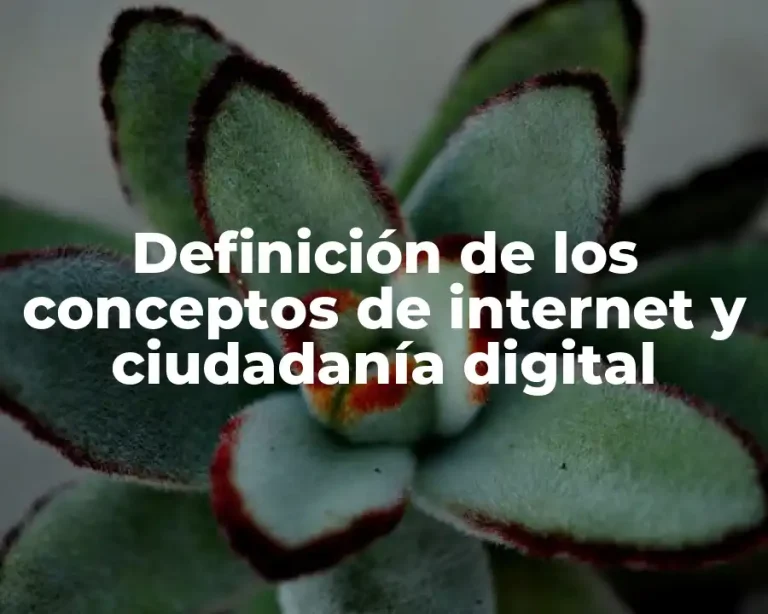 Definición de los conceptos de internet y ciudadanía digital