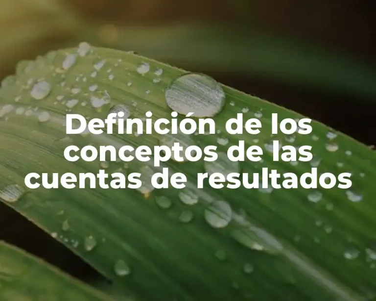 Definición de los conceptos de las cuentas de resultados