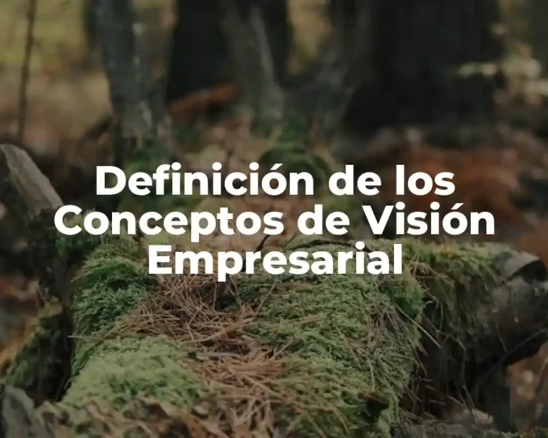 Definición de los Conceptos de Visión Empresarial