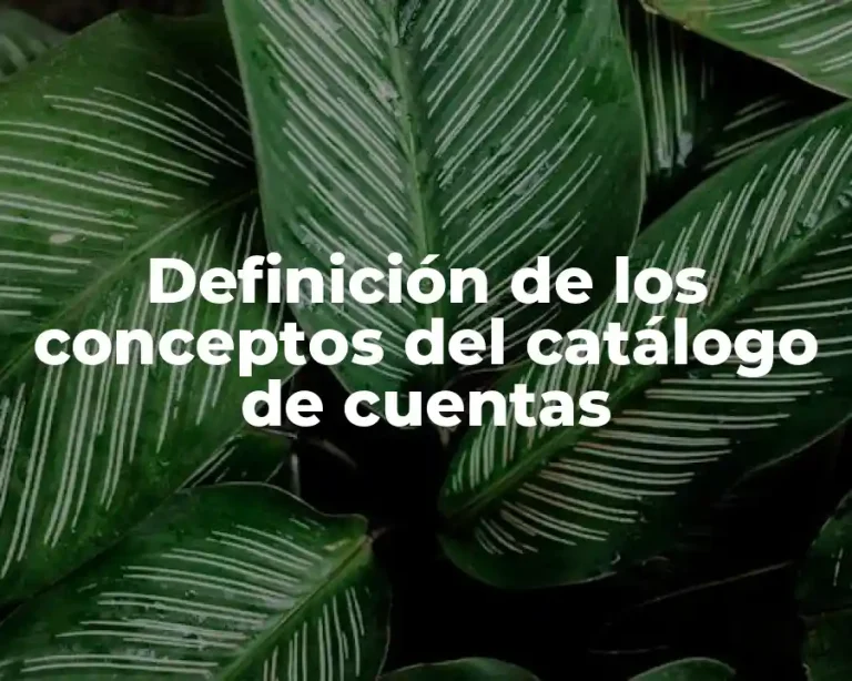 Definición de los conceptos del catálogo de cuentas