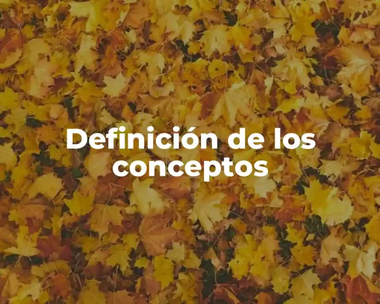 Definición de los conceptos