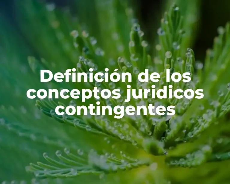 Definición de los conceptos juridicos contingentes