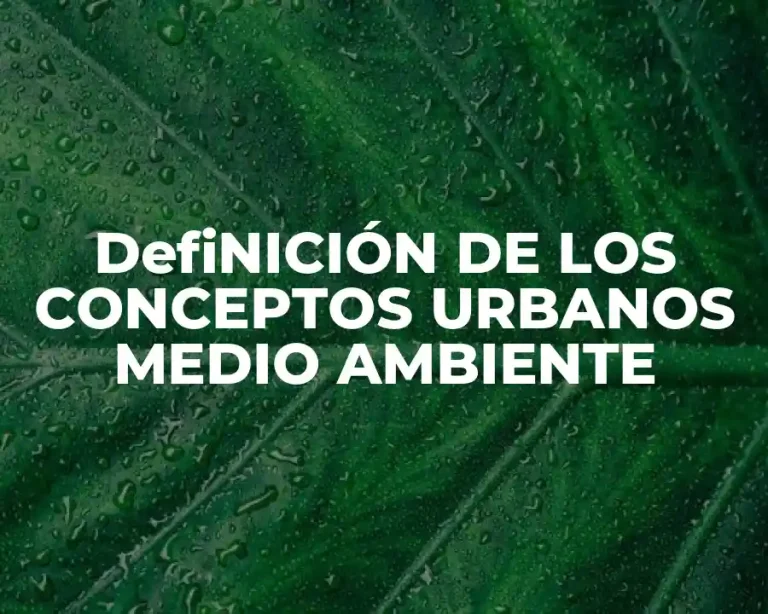 DefiNICIÓN DE LOS CONCEPTOS URBANOS MEDIO AMBIENTE