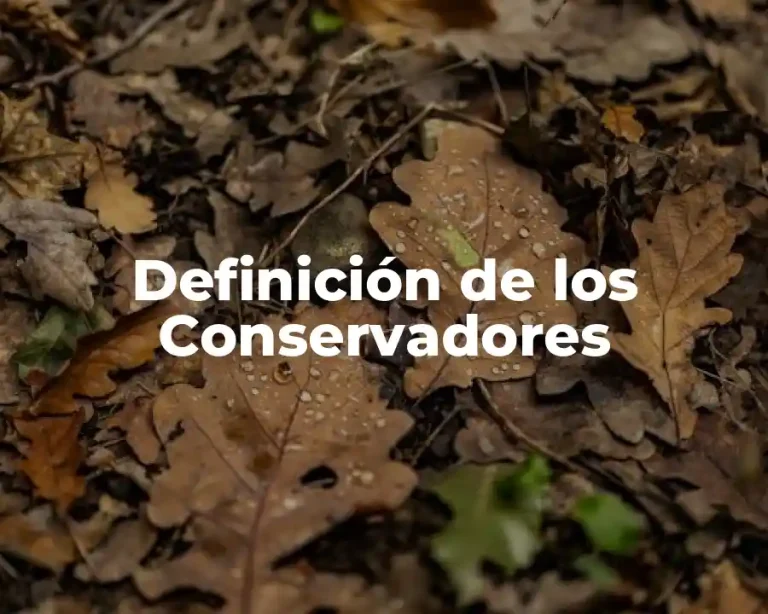 Definición de los Conservadores
