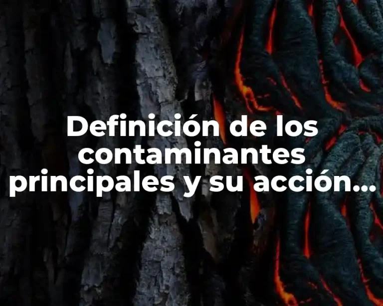 Definición de los contaminantes principales y su acción compleja