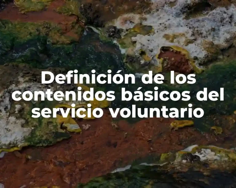 Definición de los contenidos básicos del servicio voluntario