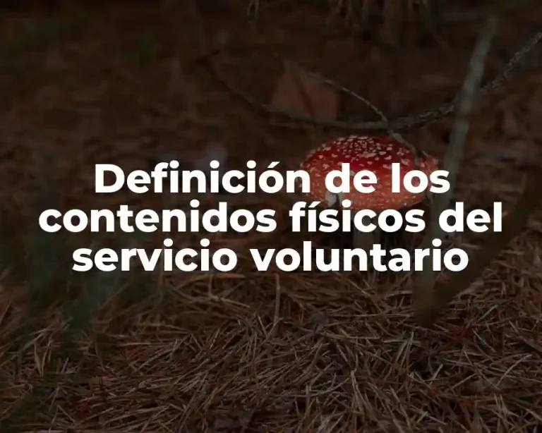 Definición de los contenidos físicos del servicio voluntario