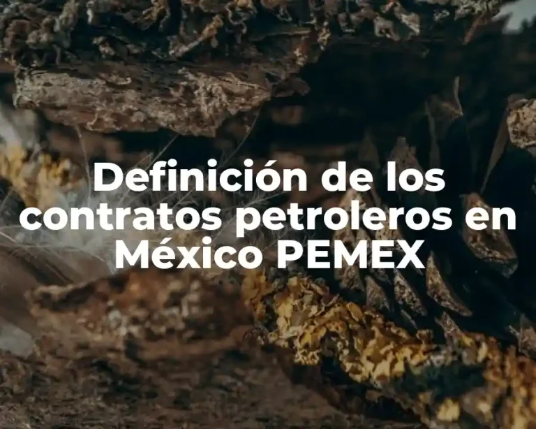 Definición de los contratos petroleros en México PEMEX