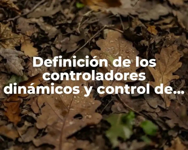 Definición de los controladores dinámicos y control de procesos