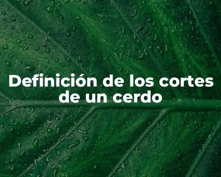 Definición de los cortes de un cerdo