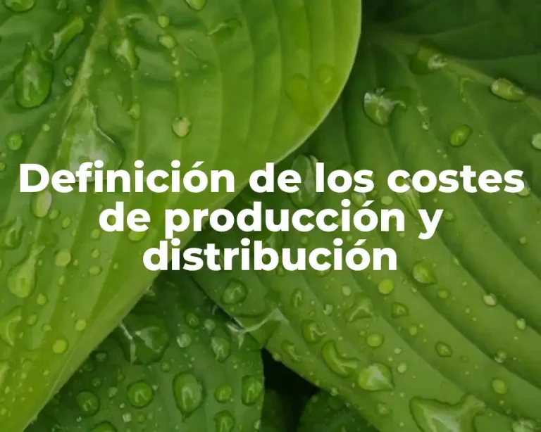 Definición de los costes de producción y distribución