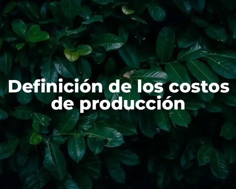 Definición de los costos de producción
