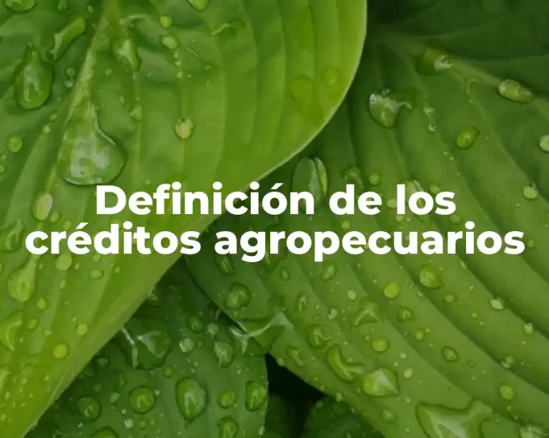 Definición de los créditos agropecuarios