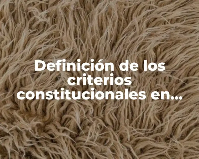 Definición de los criterios constitucionales en materia familiar