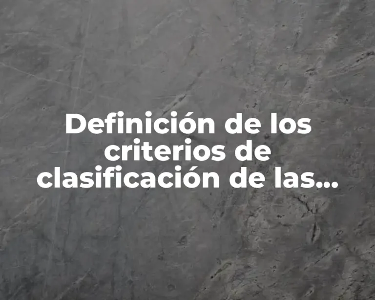 Definición de los criterios de clasificación de las organizaciones