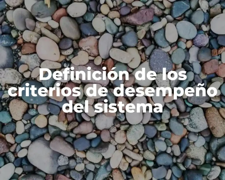 Definición de los criterios de desempeño del sistema