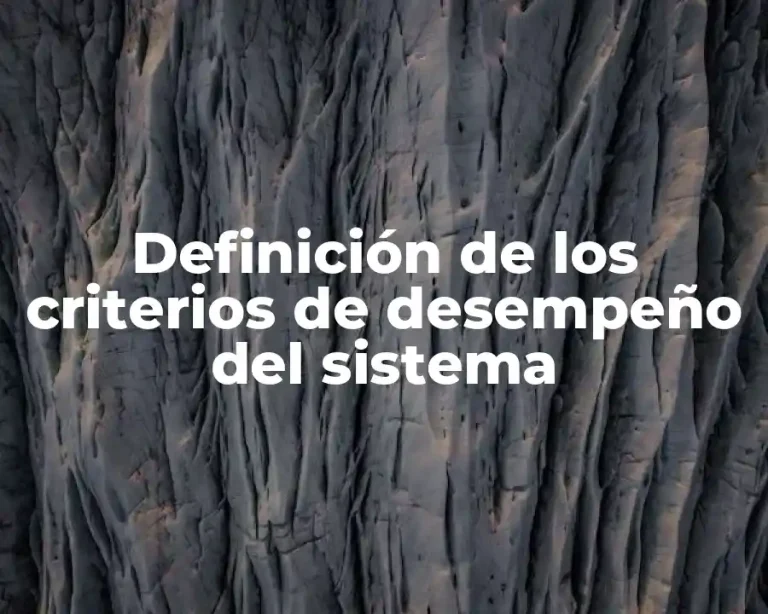 Definición de los criterios de desempeño del sistema
