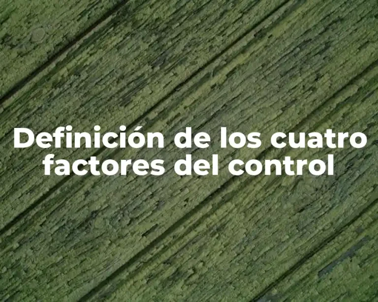 Definición de los cuatro factores del control