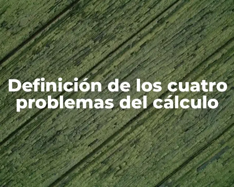 Definición de los cuatro problemas del cálculo