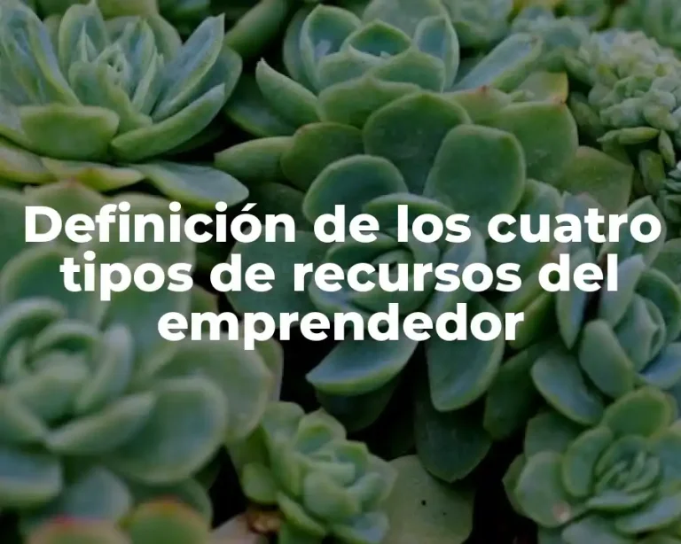 Definición de los cuatro tipos de recursos del emprendedor