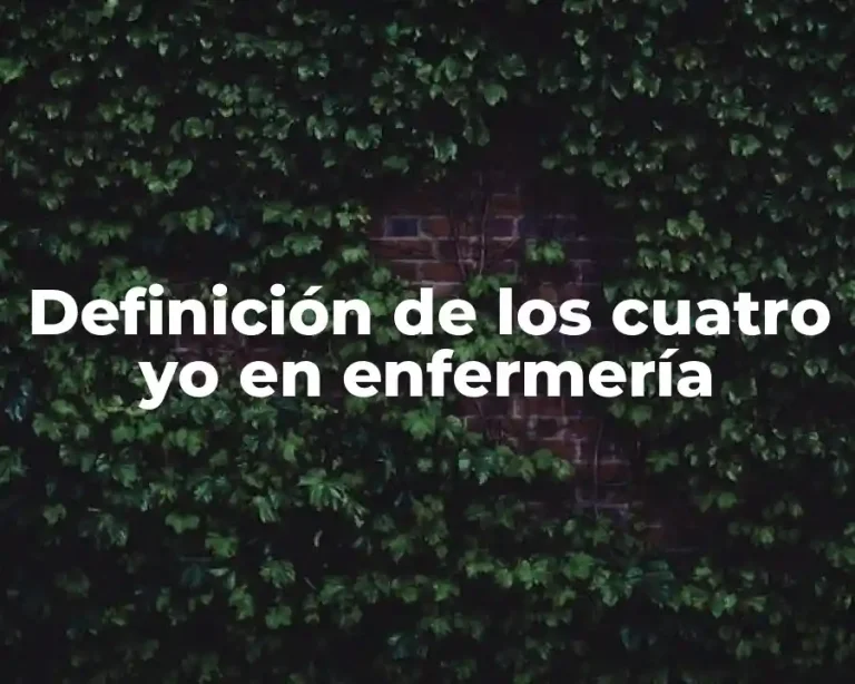 Definición de los cuatro yo en enfermería
