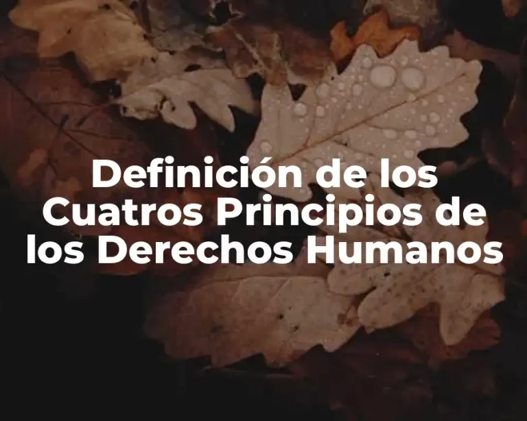 Definición de los Cuatros Principios de los Derechos Humanos